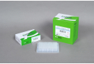 For Multiplex PCR (up to 20-plex), Dried-type Premix, PCR premix, PCR, premix, master mix, AccuPower