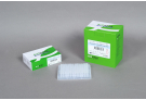 For Standard PCR with Top DNA Polymerase, Prevention of carryover contamination, PCR premix, PCR, premix, AccuPower