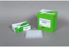 For One-step High Temperature cDNA Synthesis and Multiplex (up to 10-plex) with RocketScript™ RTase and Top DNA Polymerase, RT Premix, PT master mix, RT PCR, AccuPower, cDNA
