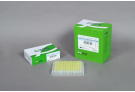 For One-step High Temperature cDNA Synthesis and PCR with RocketScriptTM RTase and Top DNA Polymerase, Dried-type Premix, RT Premix, PT master mix, RT PCR, AccuPower, cDNA