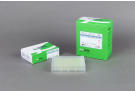 For One-step Synthesis of Full-length cDNA and PCR , RT Premix, PT master mix, RT PCR, AccuPower, cDNA