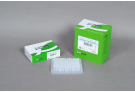 For Standard PCR, Dried-type Premix with Taq DNA Polymerase , PCR premix, PCR, premix, master mix, AccuPower