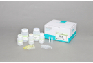 AccuPrep® Dx Viral RNA Extraction Kit