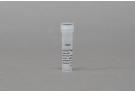AccuTool™ sgRNA synthesis (dRGEN) (1~2 μg)