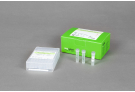 AccuPower® Babesia PCR Kit
