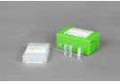 AccuPower® Babesia & Theileria PCR Kit
