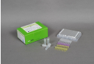 AccuPower® CT Real-Time PCR Kit