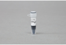 3-color Prestained Protein size marker (Broad), protein marker, protein, marker, ladder, prestained