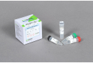 HotStart Taq DNA Polymerase, taq, hotstart taq, PCR, polymerase