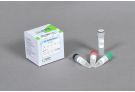 ProFi Taq DNA Polymerase , Profi, taq, PCR, polymerase