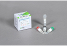 CycleScript Reverse Transcriptase , rtase, rt-pcr, polymerase, reverse transcriptase