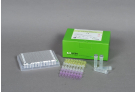 AccuPower® EV Real-Time RT-PCR Kit