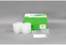 ExiPrep™96 Viral DNA/RNA Kit