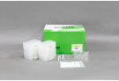 ExiPrep™96 Viral DNA/RNA Kit