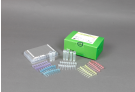 AccuPower® HBV Quantitative PCR Kit