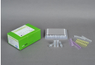 AccuPower® HLA-B27 Real-Time PCR Kit