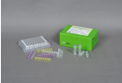 AccuPower® Influenza A Real-Time RT-PCR Kit