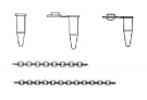 Individual PCR Tube