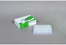 AccuPower® Neospora caninum PCR kit