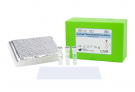 AccuPower® Shrimp Disease Real-Time PCR Kit