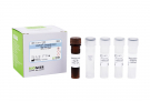 AccuPower® Glaesserella parasuis Real-Time PCR Kit 