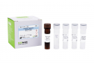 AccuPower® Vibrio harveyi Real-Time PCR Kit 