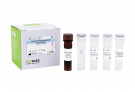 AccuPower® Shewanella putrefaciens Real-Time PCR Kit 
