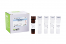 AccuPower® Bacillus cereus Real-Time PCR Kit 