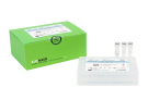 AccuPower® Kudoa septempunctata PCR Kit