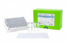 AccuPower® Kudoa septempunctata Real-time PCR kit 