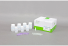 Extract Plasmid DNA used the alkaline lysis method, plasmid extraction, prep, sample prep, DNA extraction