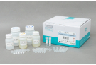 Extract RNA from HIV, HAV, HCV, viral RNA, extraction, prep, sample prep, RNA extraction