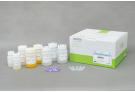 AccuPrep® PCR/Gel Purification Kit (200 reactions)
