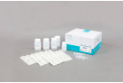 Extract RNA from cultured cells, mammalian tissue, and plant tissues, RNA extraction, prep, sample prep, universal RNA
