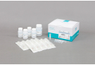 Extract RNA from Gram Positive and Gram negative bacteria, RNA extraction, prep, sample prep, bacteria, bacterial RNA
