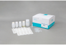 AccuPrep® Blood RNA Extraction Kit (50 reactions)