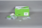 Plus Blood Genomic DNA extraction Kit for ExiPrep™16, genomic DNA, extraction, prep, sample prep, DNA extraction, ExiPrep kit