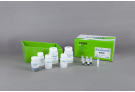 Plasmid Extraction Kit, plasmid extraction, prep, sample prep, DNA extraction