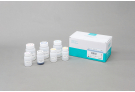 Tissue Total RNA Extraction Kit, RNA extraction, prep, sample prep, total RNA