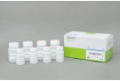 MagListo™ PCR/Gel Purification Kit (100 reactions)