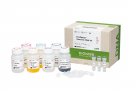EcoQprep™ Genomic Kit