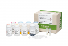 EcoQprep™ Plant Genomic Kit