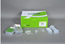 ExiPrep™ Dx Bacteria Genomic DNA Kit