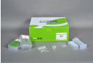 ExiPrep™ Dx Viral DNA Kit
