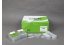 ExiPrep™ Dx Blood Viral DNA Kit