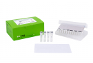 AccuPower® GreenStar™ RT-qPCR PreMix, Exicycler™ 8-well strip (96 T, 50 μl)