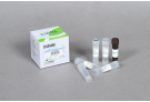 AccuPower® Plus DualStar™ qPCR Master Mix (2X, 2.5 ml)