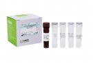 AccuPower® Acinetobacter baumannii Real-Time PCR Kit