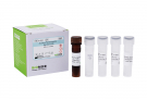 AccuPower® Borrelia burgdorferi Real-Time PCR Kit