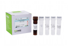 AccuPower® Campylobacter coli Real-Time PCR Kit